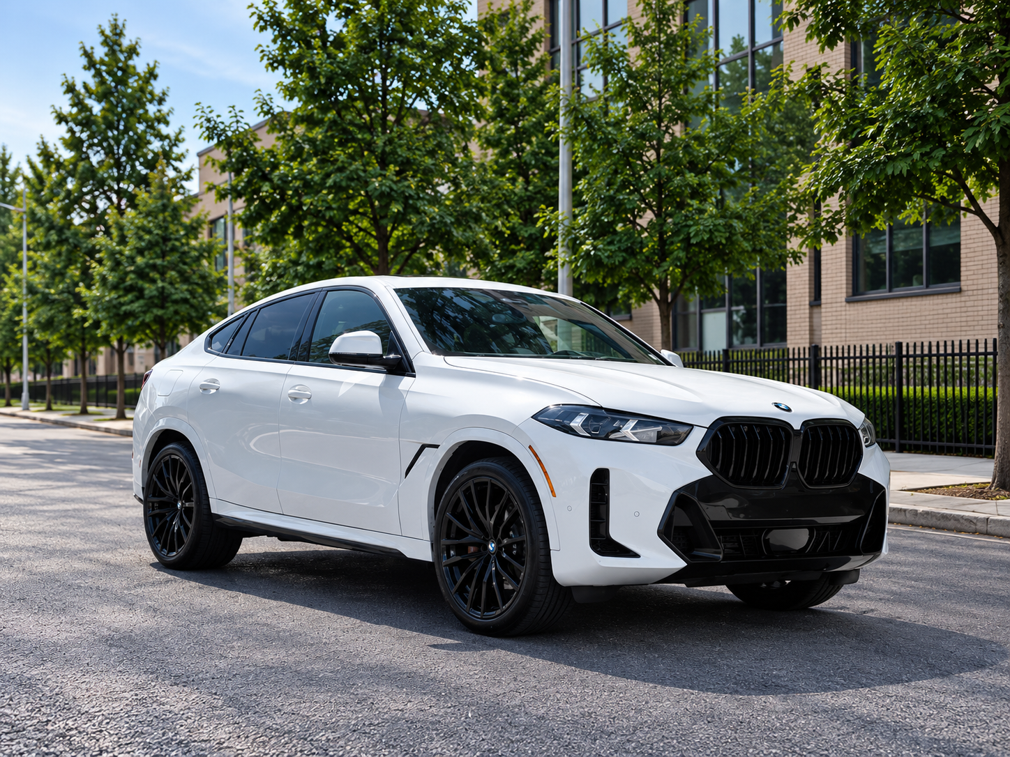 2024 BMW X6 MSPORT photo 6