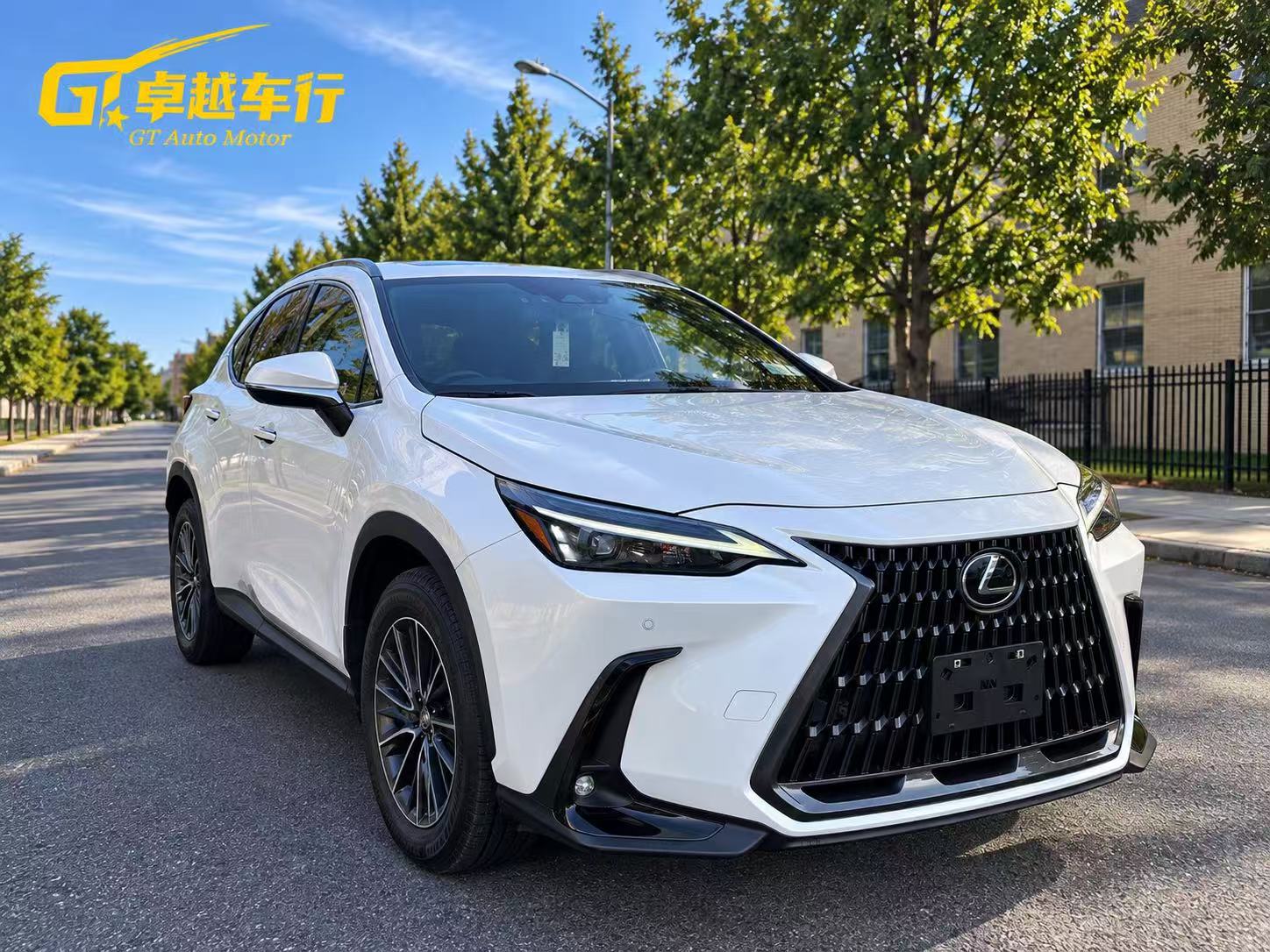 2025 LEXUS NX photo 3
