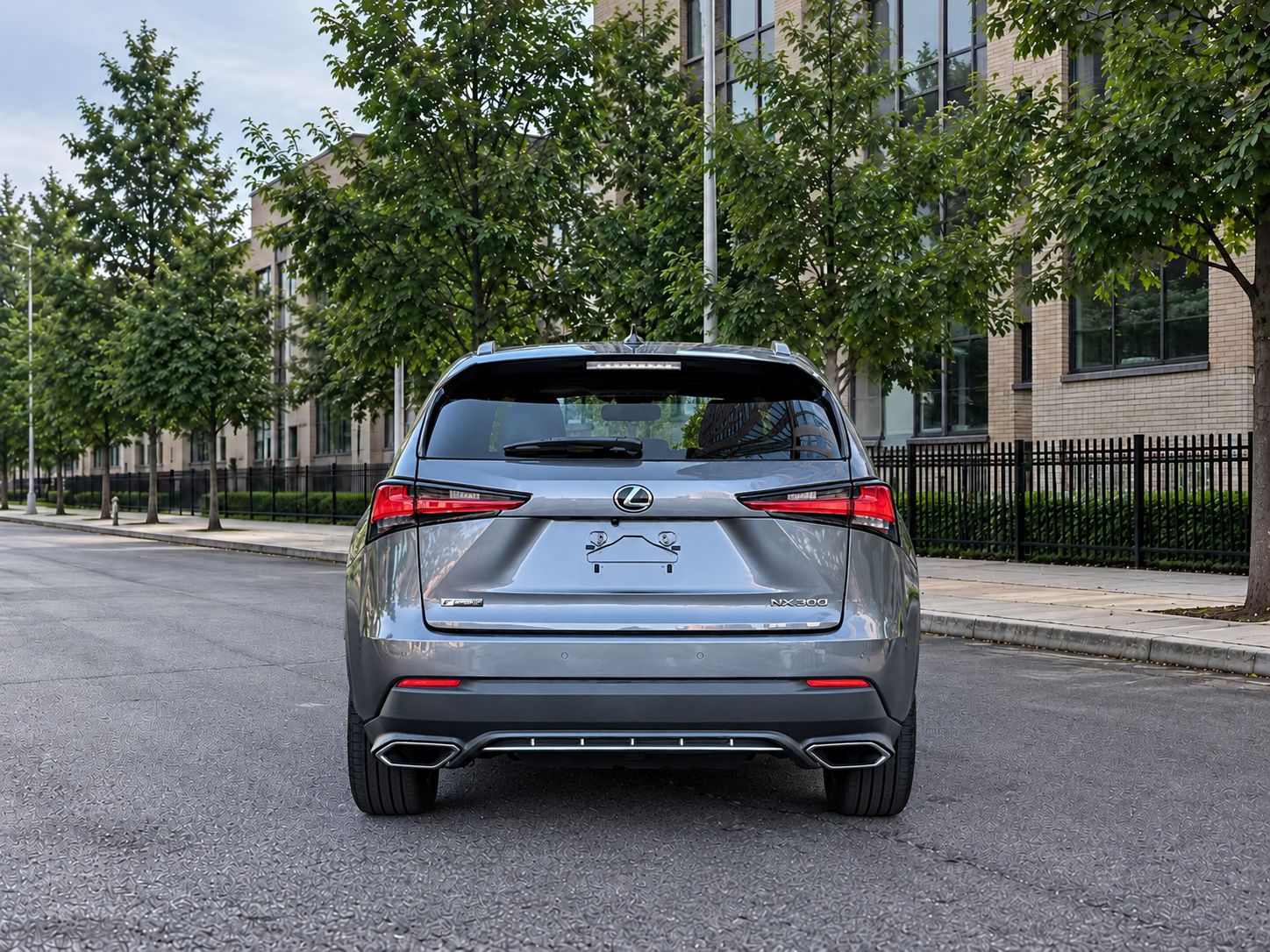 2020 LEXUS NX300 FSPORT photo 5