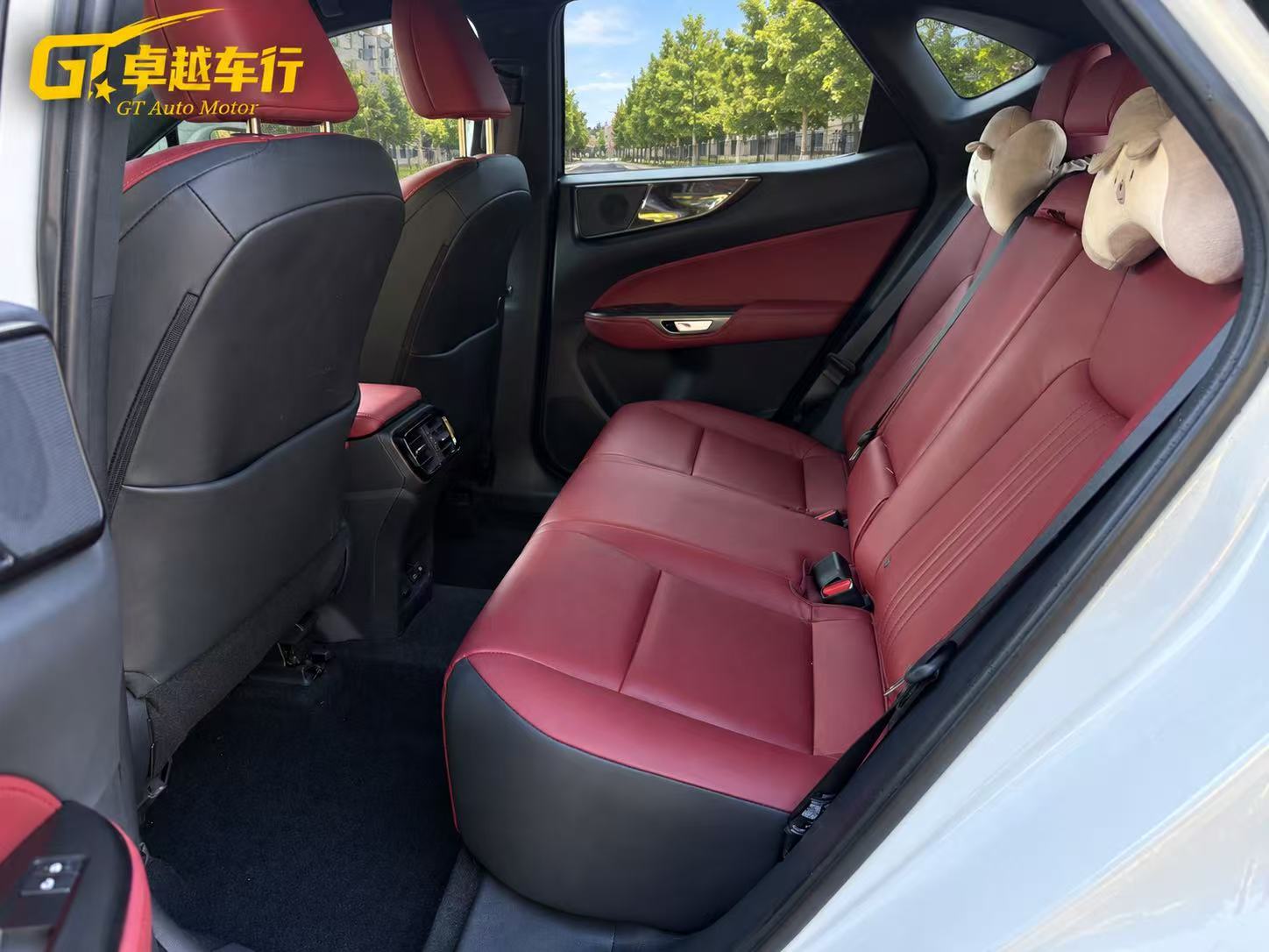 2025 LEXUS NX photo 9